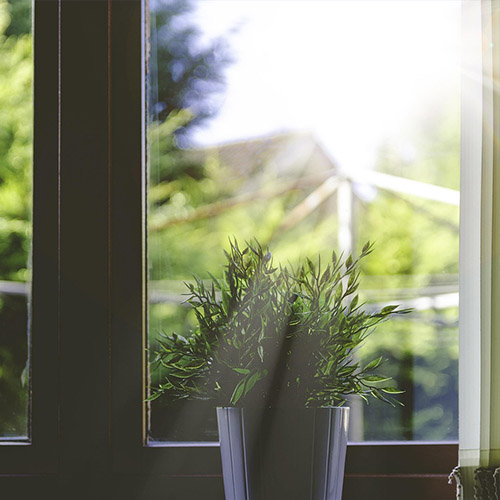 Window Cleaning
